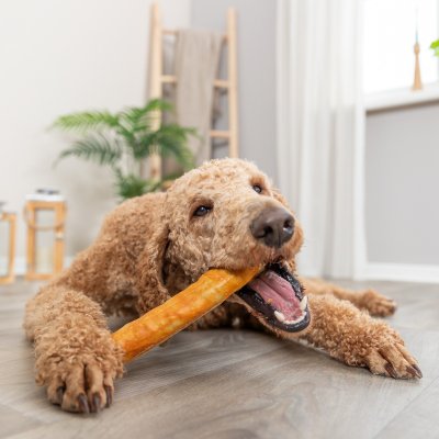 Zoom bild av hundtugg kollagen kyckling collagen denta fun trixie tuggben tuggpinne tandvårdande skonsam glutenfri utan tillsatt socker natur