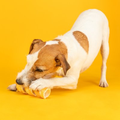 Zoom bild av tuggspiral kyckling chicken tuggrulle hundtugg lindad kött råhud trixie denta fun gott populärt