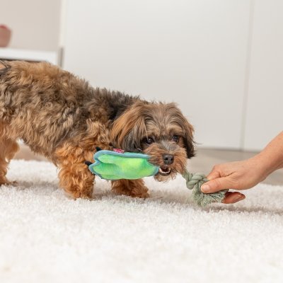 Zoom bild av hundleksak tass djurtass plysch polyester grön blå beige rep bomullsrep med pip hundlek leksak gosdjur mjukdjur rolig valpleksak