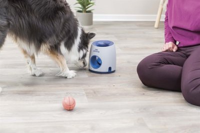 Zoom bild av Dog Activity Ball & Treat, nivå 3