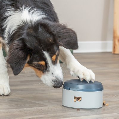 Zoom bild av trixie dog activity buzzer nivå 1 plast blå vit interaktiv leksak hundleksak aktivering hundaktivering godisgömma knapp