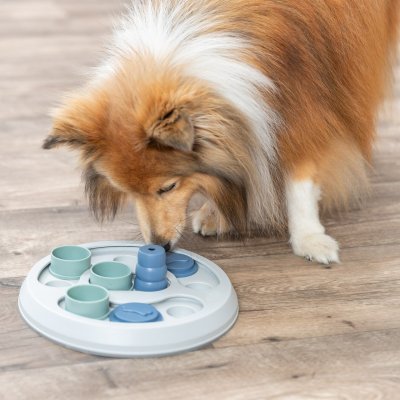 Zoom bild av Trixie Dog Activity Flip & Fun, Nivå 2, ø 23 cm aktiveringsleksak hundleksak hundpussel hundspel aktiveringsspel ny färg blå grö
