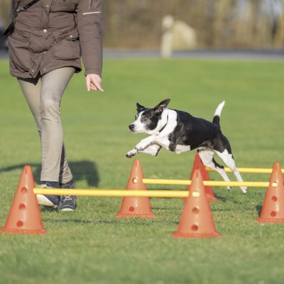 Zoom bild av Trixie Dog Activity Hinderset 3 hinder