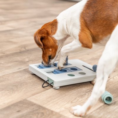 Zoom bild av Trixie Dog Activity Mini Mover, Nivå 3, 25 x 20 cm hundspel aktiveringsleksak hundleksak aktiveringsspel ny färg blå turkos