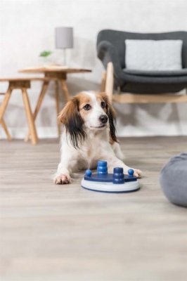 Zoom bild av Dog Activity Push Away Nivå 2, 25 x 17 cm