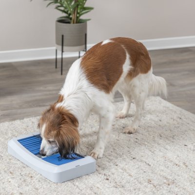 Zoom bild av hundaktivering aktiveringsleksak belöningspussel aktivitetspussel hundspel aktivering hund träning trixie