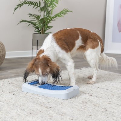 Zoom bild av hundaktivering aktiveringsleksak belöningspussel aktivitetspussel hundspel aktivering hund träning trixie