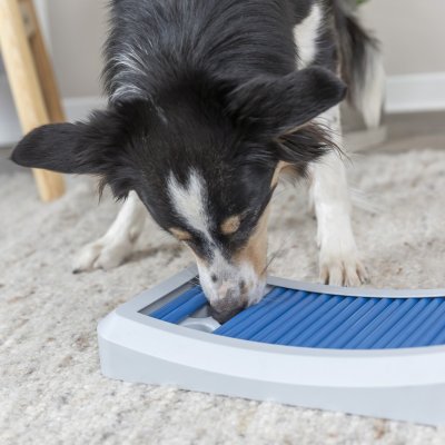 Zoom bild av hundaktivering aktiveringsleksak belöningspussel aktivitetspussel hundspel aktivering hund träning trixie