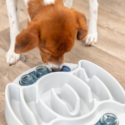 Zoom bild av Trixie Dog Activity Slide & Feed, Nivå 1, 30 × 27 cm hundspel hundpussel aktiveringsleksak hund ny färg blå turkosgrön