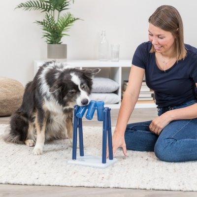 aktivitetsleksak aktivitetsspel hundspel aktivering födosök belöningsspel godisspel hund hundaktivering leksak godis trixie