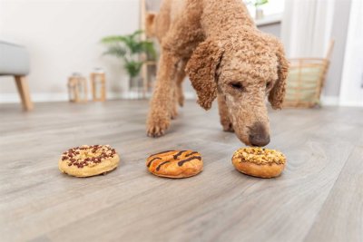 Zoom bild av hundtugg donuts tugg hundgodis hundsnacks munkar 3pack trixie