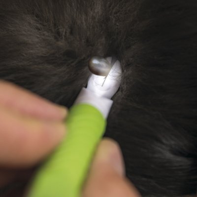 Zoom bild av Fästingplockare med LED-belysning, 14 cm