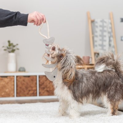 Zoom bild av hundleksak läder läderleksak hund rep naturlig hållbar rolig robust interaktiv fiskben fisk grå beige trixie