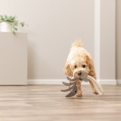 Zoom bild av hundleksak läder läderleksak hund rep naturlig hållbar rolig robust interaktiv fiskben fisk grå beige trixie