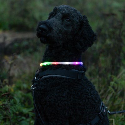 Zoom bild av Flash light ring USB, silikon, XS-XL: 70 cm/ø 10 mm, flera färger