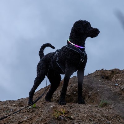 Zoom bild av Flash light ring USB, silikon, XS-XL: 70 cm/ø 10 mm, flera färger