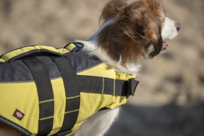 Zoom bild av Flytväst för hund, gul/svart