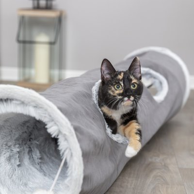 Zoom bild av kattunnel lektunnel