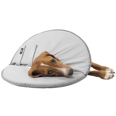 Zoom bild av Hundkrage mjuk grå, flera storlekar