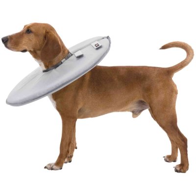 Zoom bild av Hundkrage mjuk grå, flera storlekar