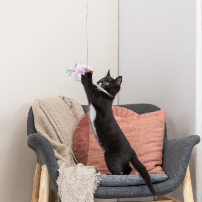 Zoom bild av kattleksak kattspö kattvippa stjärna plysch trä junior kattunge leksak lila trixie