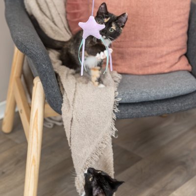 Zoom bild av kattleksak kattspö kattvippa stjärna plysch trä junior kattunge leksak lila trixie