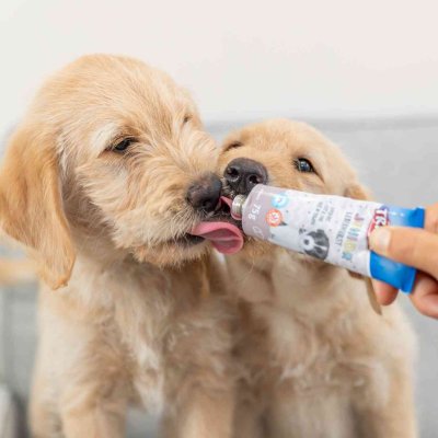 Zoom bild av leverpastej leverpate hundvalp valpgodis junior hund hundgodis belöningsgodis hundsnacks flytande tub tubgodis trixie grönläppad
