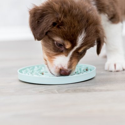 Zoom bild av slickplatta slickmatta aktiveringsskål matskål junior hundvalp flytande belöning godis räfflad mönster skål plast mintgrön 15 cm