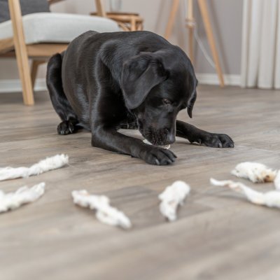 Zoom bild av Trixie Kaninöron med päls, 100 g 500 g naturtugg naturligt rabbit ears hundgodis tugg hundsnacks hundtugg kanin