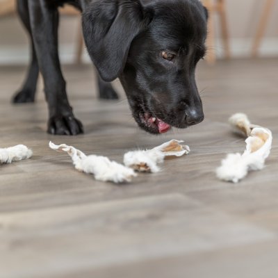 Zoom bild av Trixie Kaninöron med päls, 100 g 500 g naturtugg naturligt rabbit ears hundgodis tugg hundsnacks hundtugg kanin