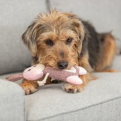 Zoom bild av hundleksak gosdjur tygleksak hund tyg plysch kanin rosa med rep ljudlös känslig hund ljudkänslig trixie