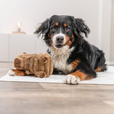 Zoom bild av Trixie Kapybara, brun, två storlekar 14 cm 23 cm plysch mysig gullig hundleksak mjukdjur nallebjörn 14 23 cm