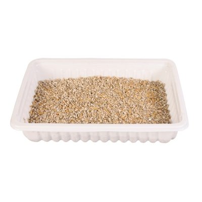 Zoom bild av Kattgräs, mjukt, vitaminberikat med odlingslåda 100g