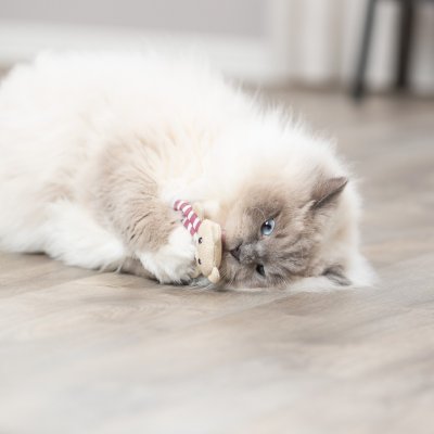 Zoom bild av kattleksak kattmynta mjuk tyg björn med klänning påse catnip innehåll trixie brun beige