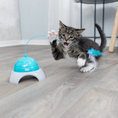 Zoom bild av kattleksak jaga fånga blå grå fjäder batteridriven motordriven leksak trixie