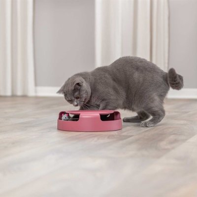 Zoom bild av kattleksak jaga mus fånga bana turkos rosa plast trixie catch the mouse 25 cm