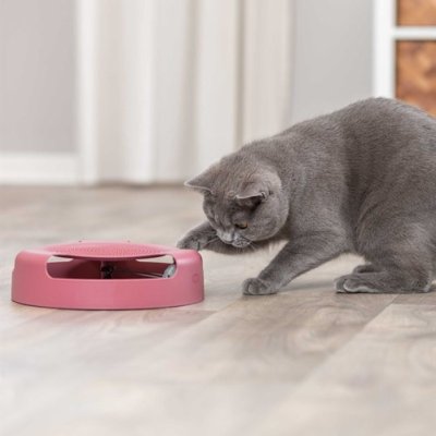 Zoom bild av kattleksak jaga mus fånga bana turkos rosa plast trixie catch the mouse 25 cm