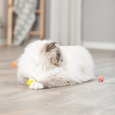 Zoom bild av kattleksak gummiboll knopp katt leksak färgglad rolig studsar oregelbundet gul orange rosa lila trixie knoppar