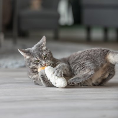 Zoom bild av kattleksak sleeping mjuk kattmynta catnip brun grå beige plysch trixie sparkleksak katt mysig rolig