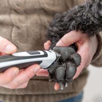 Zoom bild av sladdlös klippmaskin hundklippmaskin tystgående trimmer pälsskötsel hemma ergonomisk hundtrimmer