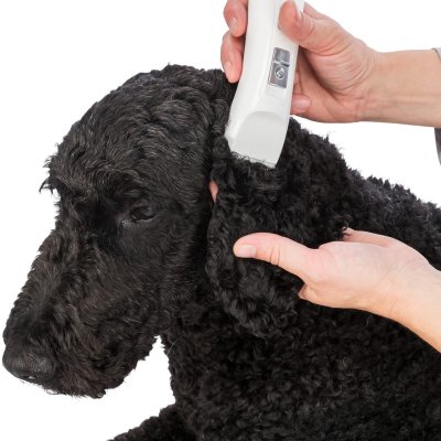 Zoom bild av trimmer hundtrimmer tasstrimmer pälstrimmer klippmaskin hund katt tass päls batteridriven sladdlös precision tyst känsliga djur 