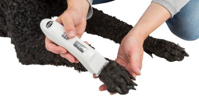 Zoom bild av trimmer hundtrimmer tasstrimmer pälstrimmer klippmaskin hund katt tass päls batteridriven sladdlös precision tyst känsliga djur 