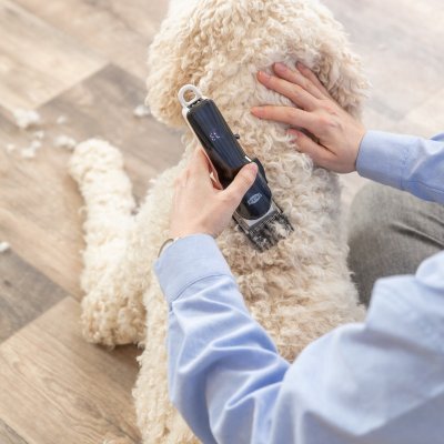 Zoom bild av klippmaskin TR1200 sladdlös 10w kraftfull tystgående professionell för hemmabruk ergonomisk hundtrimmer keramiskt blad distanska