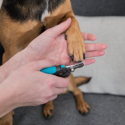 Zoom bild av klotång kloklippare klosax klovård hundklo klippa klo gummihandtag metall klippskydd skyddsplatta säkerhetslås