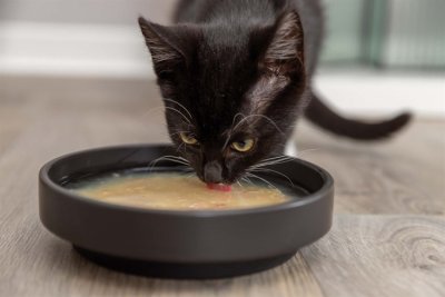 Zoom bild av kattgodis kattsoppa laxsoppa för katter soppa katt flytande kattsnacks kattmat kyckling 4-pack