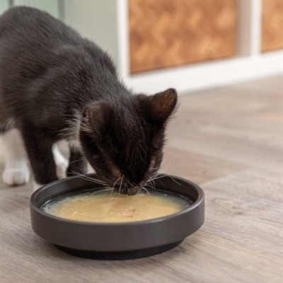 Zoom bild av kattsoppa laxsoppa kattgodis flytande snacks lax fisksoppa för katt kyckling trixie