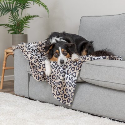 Zoom bild av Trixie Leo filt mjuk plysch cream, två storlekar 75 x 100 100 x 150 stor filt mysig katt hund beige