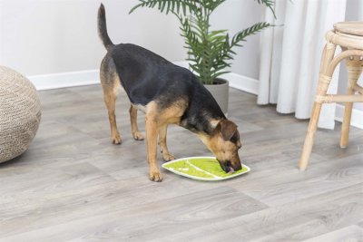 Zoom bild av Lick'n'Snack platta, lövformad, TPR/PP, 28 × 21 cm