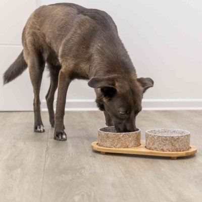 Zoom bild av matbar keramik bambu relief mönstrat vit ecru rutig melange trä trixie två skålar hundmatskål matskålar