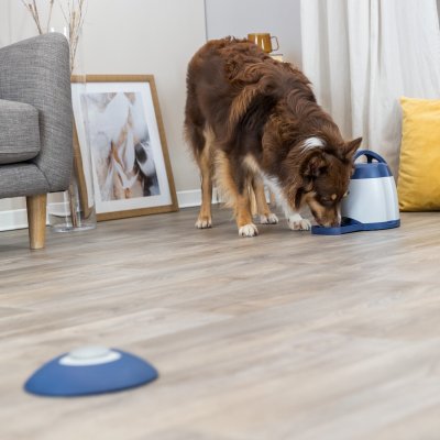 Zoom bild av hundspel hundpussel hundaktivering aktiveringsleksak hund hundleksak plast knapp automatisk klickerträning hundträning leksak vi